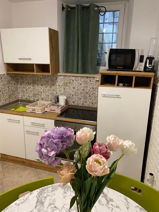 Studio Apartma Sara Apartment Piran Bagian luar foto